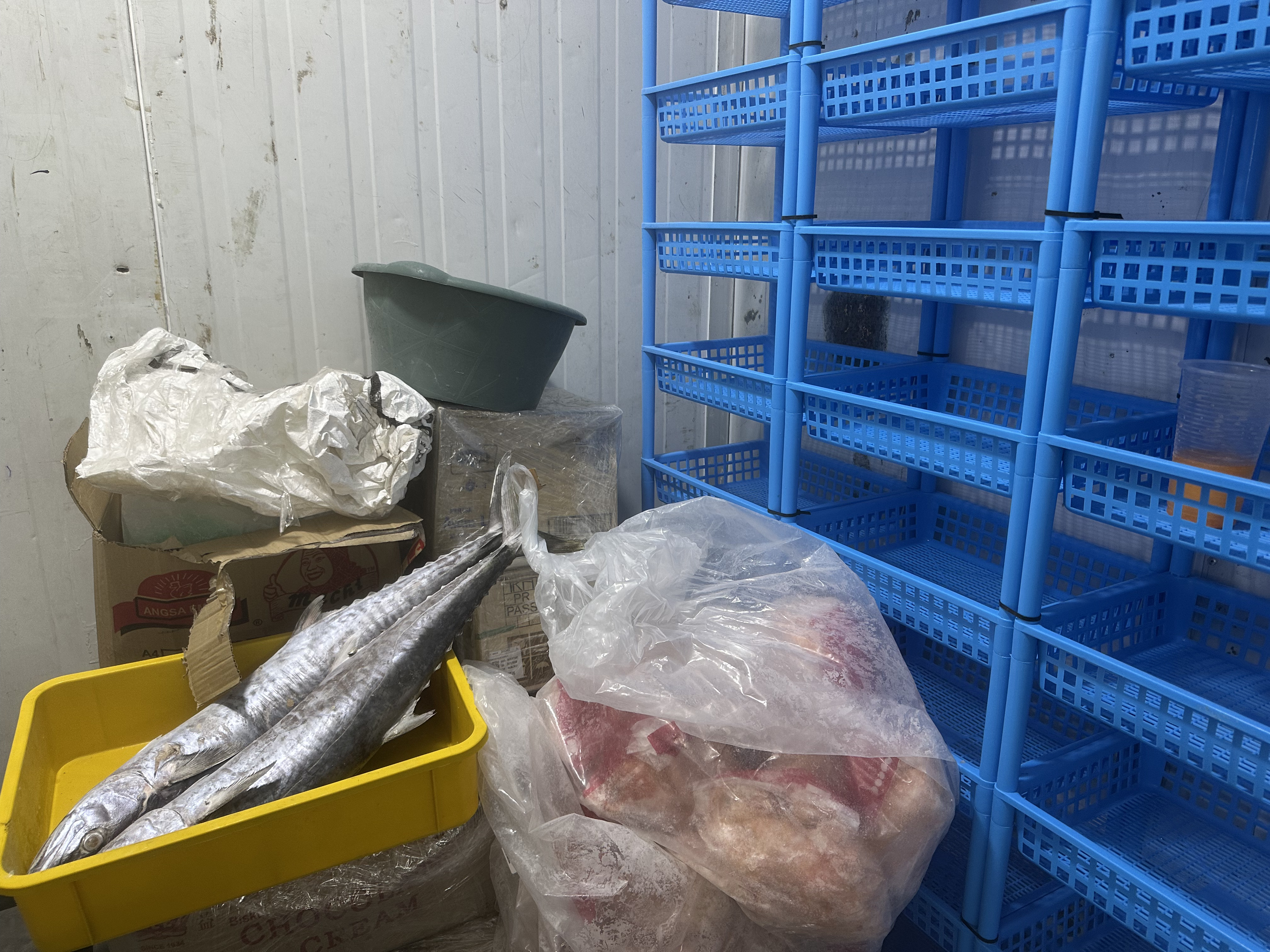 frozenstorage4